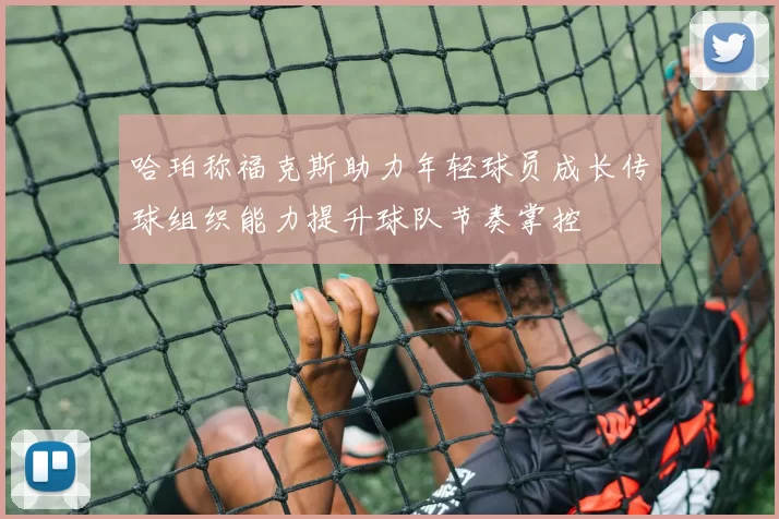 哈珀称福克斯助力年轻球员成长传球组织能力提升球队节奏掌控