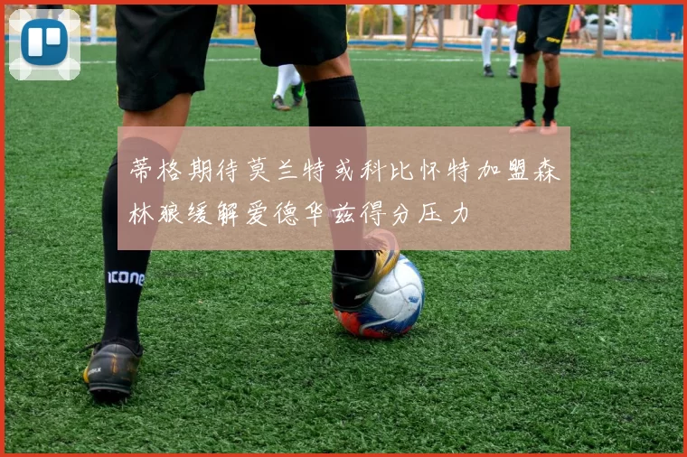 蒂格期待莫兰特或科比怀特加盟森林狼缓解爱德华兹得分压力